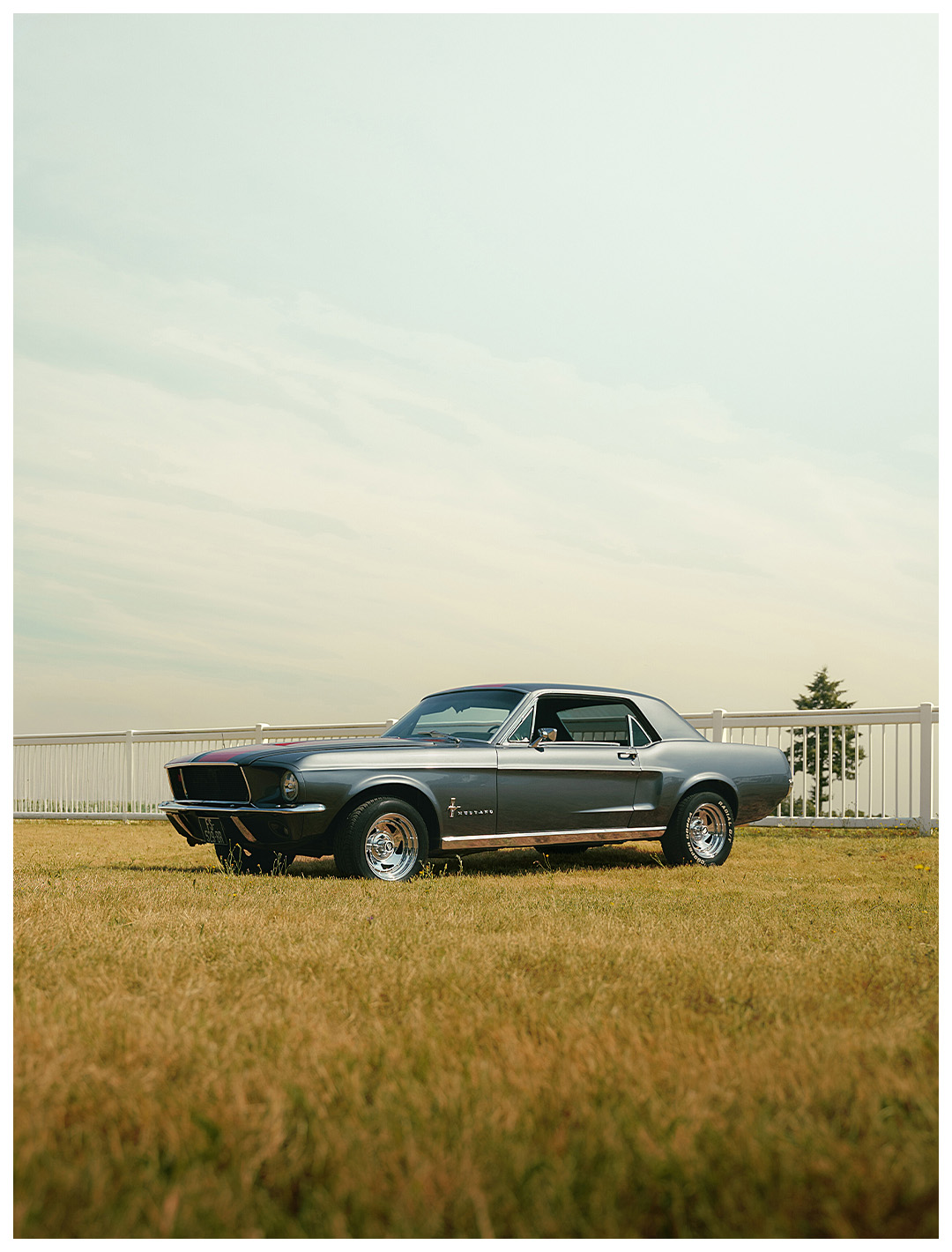 Mustang